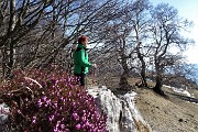 88 Uscendo dal bosco con erica...